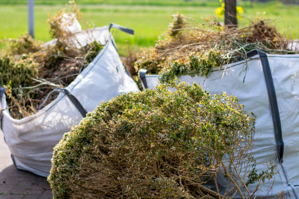 Shed Removal in Eagle Butte, SD