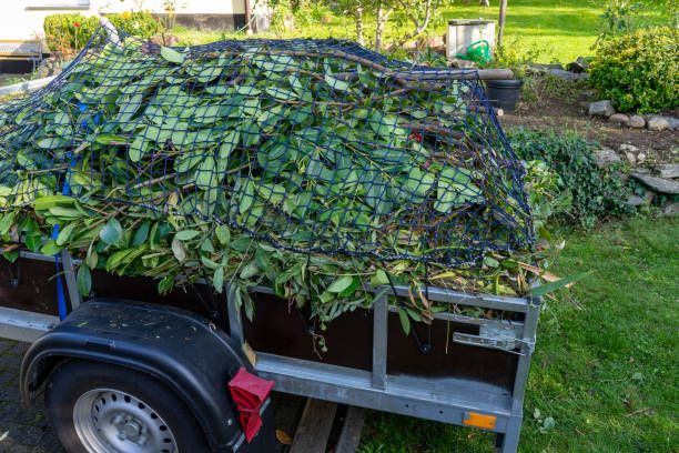 Best Moving and Downsizing Cleanouts  in Eagle Butte, SD